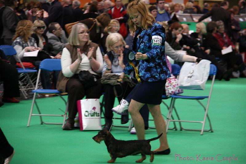 Crufts2011_2 954.jpg